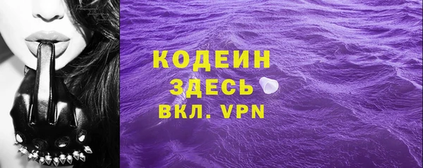 2c-b Гусев