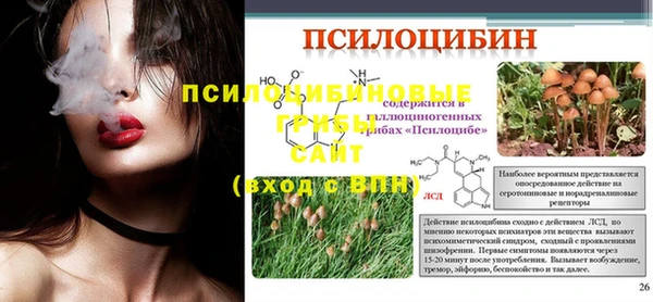 ECSTASY Гусиноозёрск