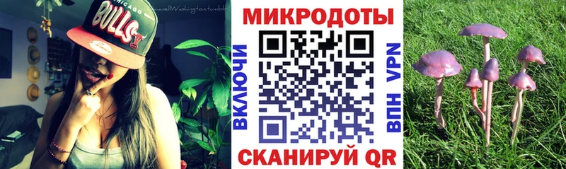 Псилоцибиновые грибы мухоморы  Дубовка 